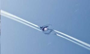 Stone chip repair on windshield